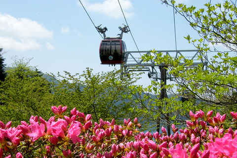 Desde Tokio: Excursión guiada de un día a Hakone, Owakudani y el Monte FujiSalida de Shinjuku