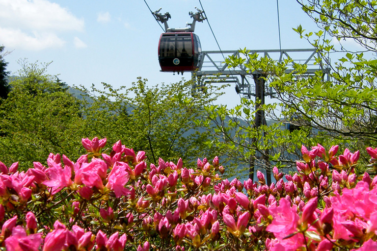 De Tóquio: Cruzeiro em Hakone e viagem de 1 dia à 5ª estação do Monte Fuji