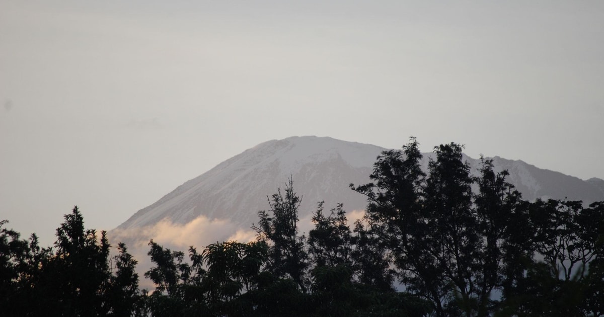 1-Day Kilimanjaro Hike to Mandara Hut | GetYourGuide