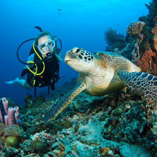 Antalya Suba Diving Tour - Discover the Underwater Wonders | GetYourGuide