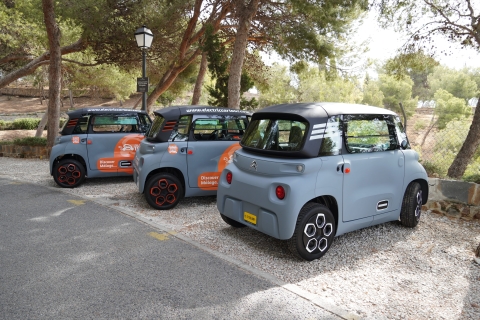 Montes de Malaga Gastronomic Tour by electric car