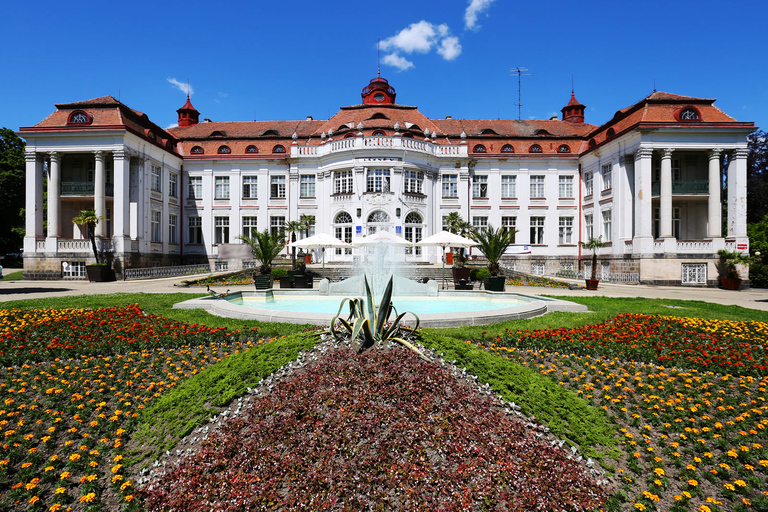 Vanuit Praag: dagvullende tour Karlovy Vary met lunchRondleiding in het Duits