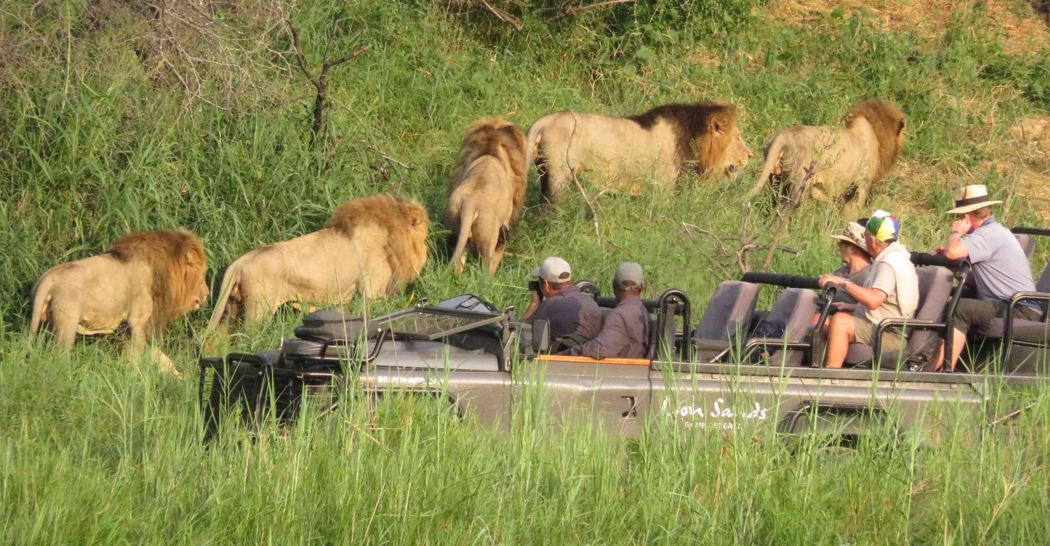 Suitetrails - Safari , Full Day Chobe National Park Safari with Lunch