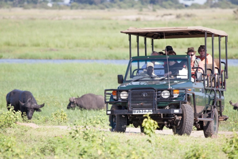 Botsuana - Los 5 Grandes - Safari de día completo en Chobe con almuerzo buffetBotsuana - Safari de un día en Chobe - Avistamiento de los 5 Grandes Animales