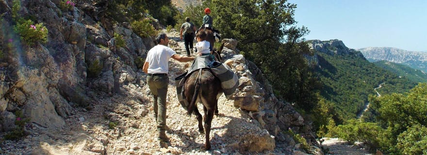 Promenade à dos d'âne dans la forêt de Suttaterra depuis Dorgali