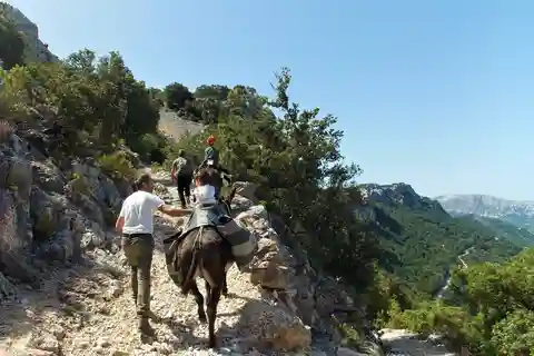 Eselwanderung im Suttaterra-Wald von Dorgali aus