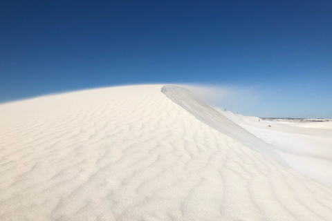 Perth: Tour guidato a piedi del deserto dei Pinnacoli con pranzoVisita guidata in inglese