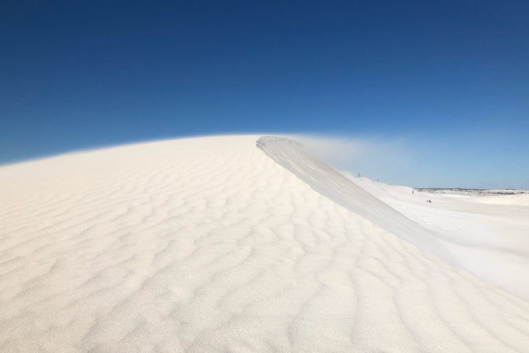 Perth: Tour guidato a piedi del deserto dei Pinnacoli con pranzoVisita guidata in francese