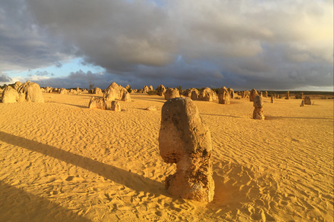 Perth: Pinnacles Desert Bush Walk Rondleiding met gids met lunchRondleiding in het Frans