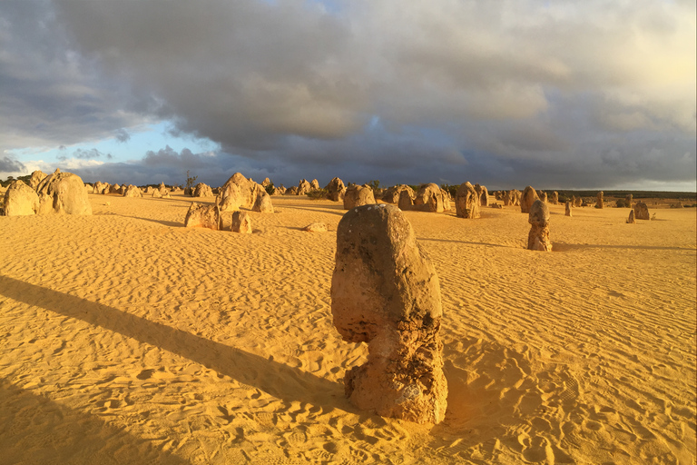 Perth: Pinnacles Desert Bush Walk Rondleiding met gids met lunchRondleiding in het Engels