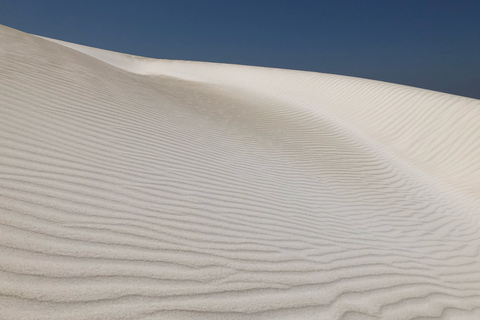 Perth: Pinnacles Desert Bush Walk Rondleiding met gids met lunchRondleiding in het Frans