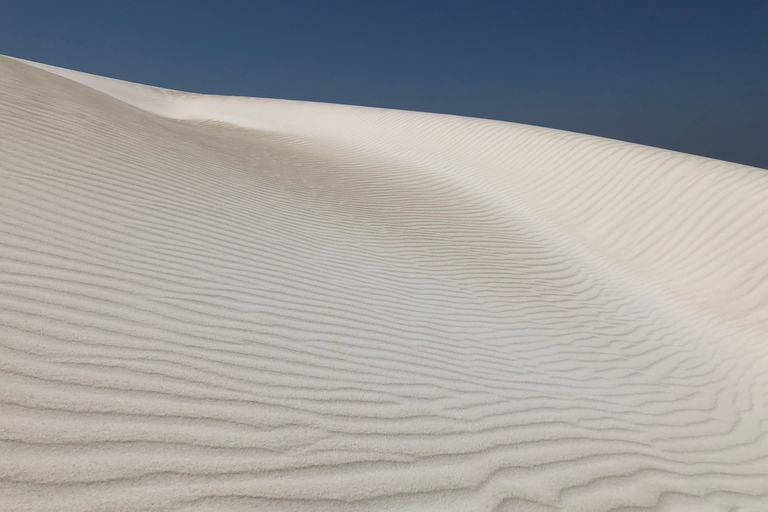 Perth: Pinnacles Desert Bush Walk Guided Tour with LunchGuided tour in French