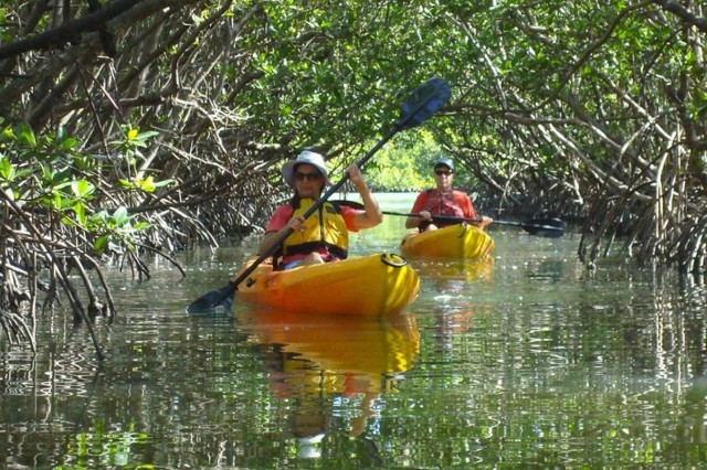 Visit Fort Myers Guided Kayak or SUP Tour in Pelican Bay in Bonita Springs, Florida, USA