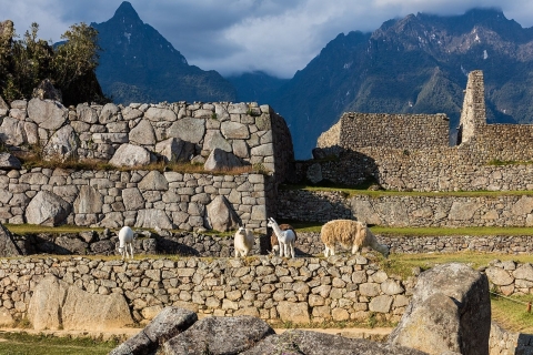 Tour privé Cusco et Machu Picchu 4 jours 3 nuits