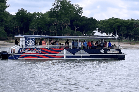 Savannah: Dolfijnen spotten en ecocruise in het wild