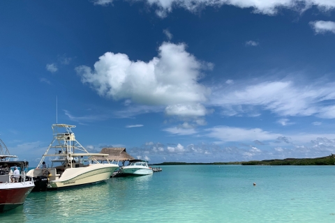 Contoy: Schöne Bootsfahrt über zwei erstaunliche Inseln