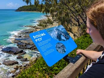 From Brisbane: Day Trip to Noosa, Glass House Mtns and Zoo