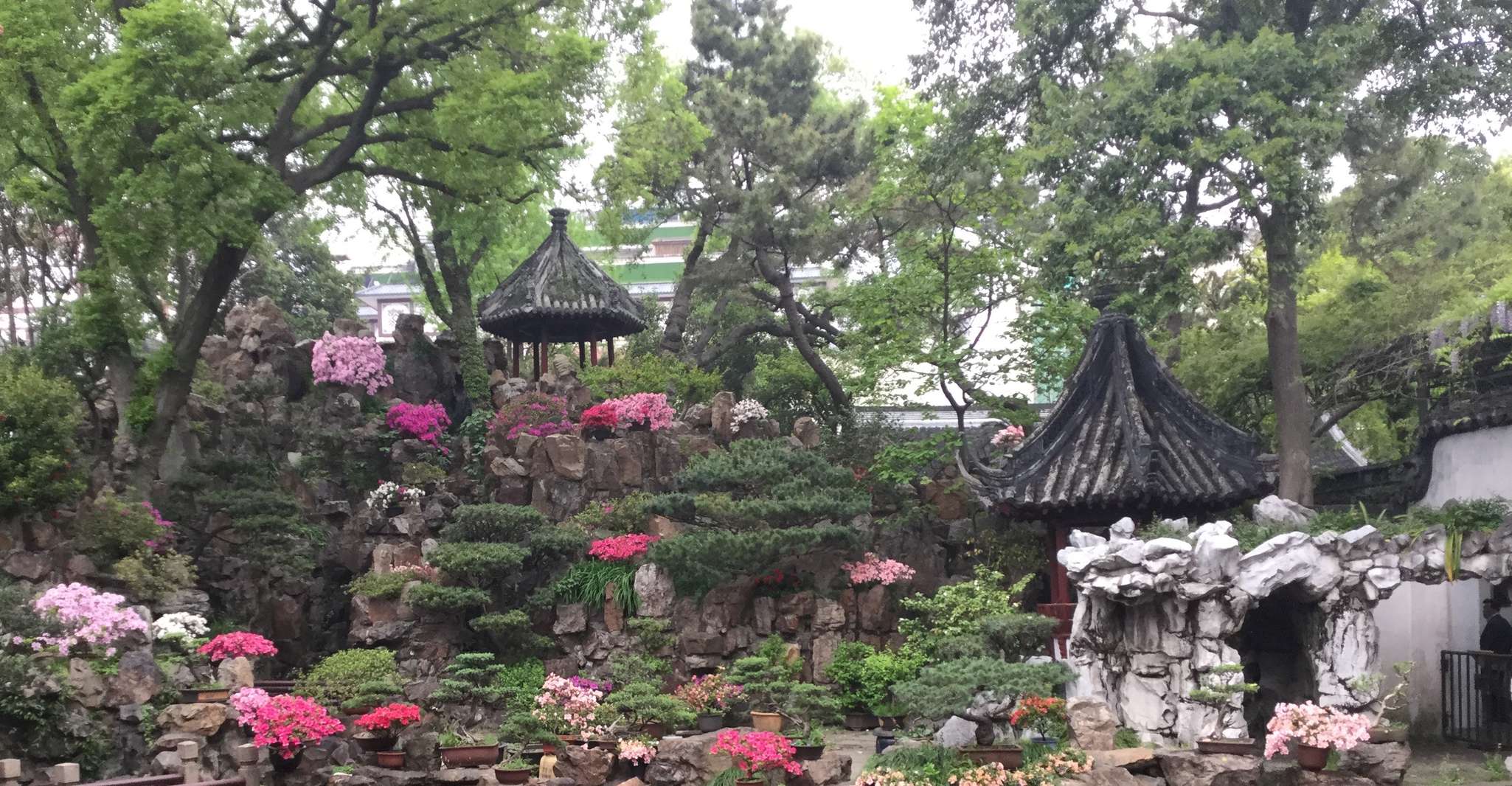 Shanghai, 4 ore visita guidata della città - Hizvo