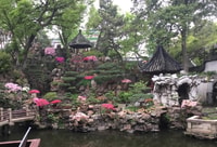 Shanghai, 4 ore visita guidata della città - Hizvo