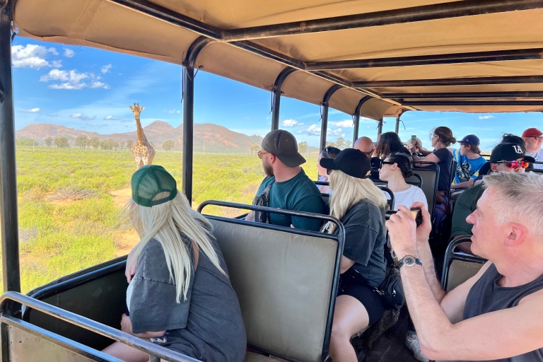 Safari Wielkiej Piątki w pobliżu Kapsztadu w RPA
