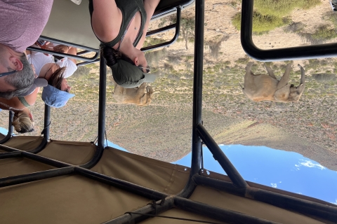 Big-Five-Safari-Erlebnis in der Nähe von Kapstadt, Südafrika