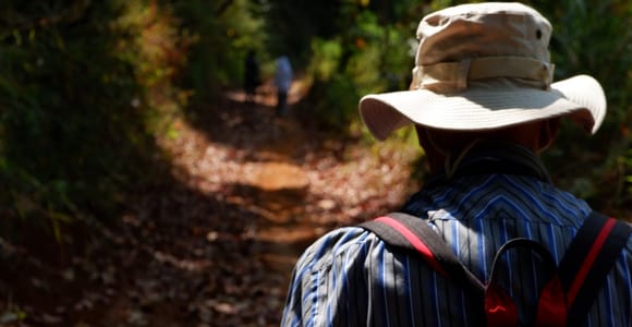 Chiang Mai: Full Day 5 Hill Tribes Tour