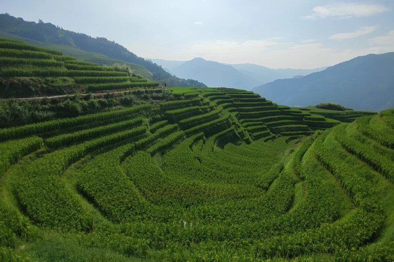 Longji-rijstterrassen: een volledige privétour vanuit GuilinWandeling van Ping'an naar Dazhai