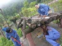 Sechuan, Big Panda Volunteer Day tour - Housity
