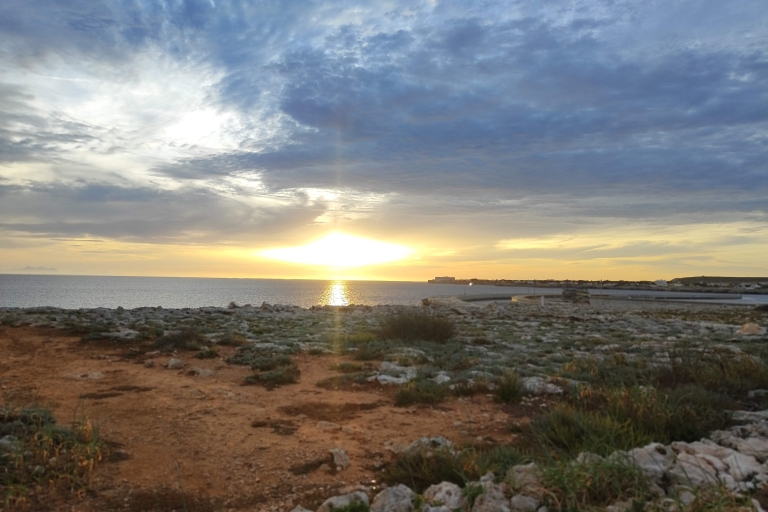 Von Mallorca aus: Geführte Tagestour nach MenorcaTour mit Abholung aus dem Norden Mallorcas