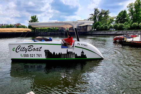 Gdańsk : Croisière touristique dans la vieille ville de Gdansk