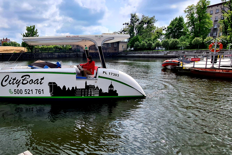 Gdańsk: Crucero turístico por el casco antiguo de Gdansk