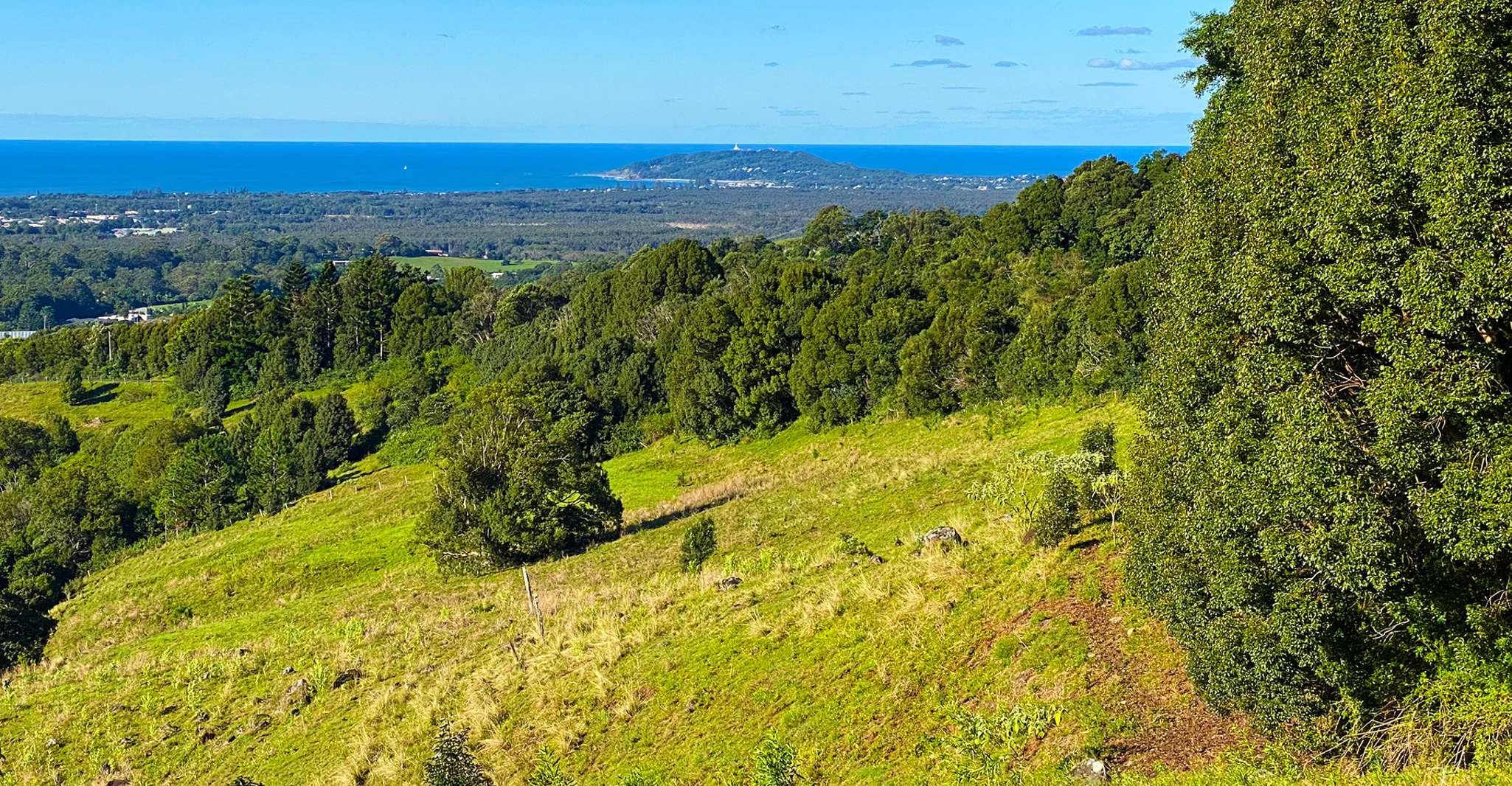 From Brisbane: Byron Bay, Bangalow, and Gold Coast Day Tour photo 7