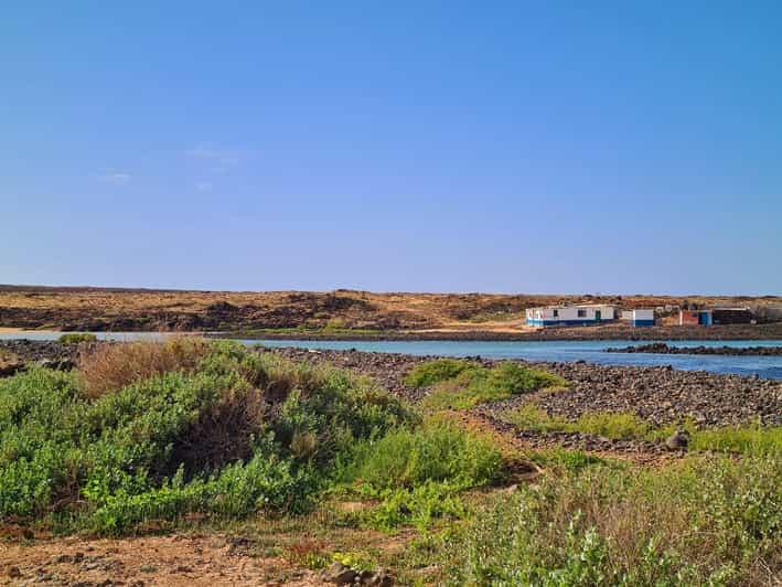 Corralejo: E-Bike Rental with Map to Popcorn Beach | GetYourGuide