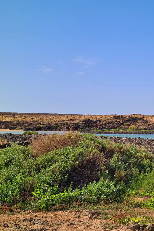 Corralejo: E-Bike Rental with Map to Popcorn Beach | GetYourGuide