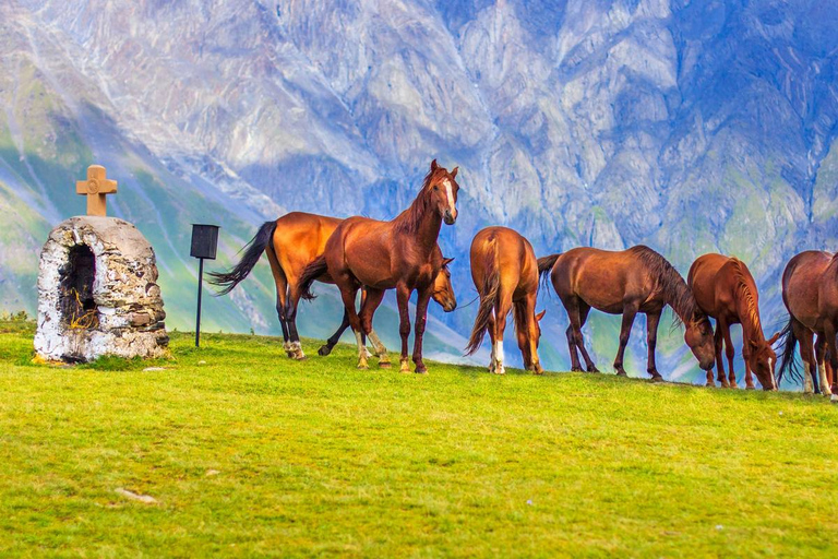 Tbilissi : Kazbegi et les points forts des montagnes du Caucase - Excursion d'une journée