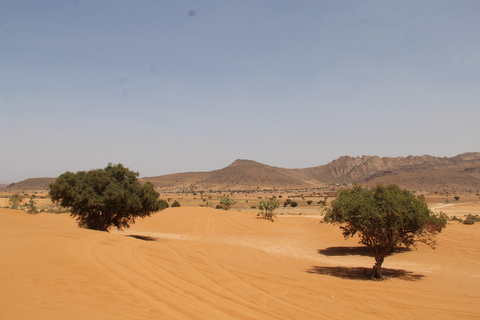 Agadir/Taghazout/Port : excursion en 4x4 dans le désert du Sahara avec déjeunerTour de Taghazout/Tamraght/Anza/Aourir