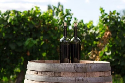 Prywatna całodniowa wycieczka: degustacja wina na Peljesac