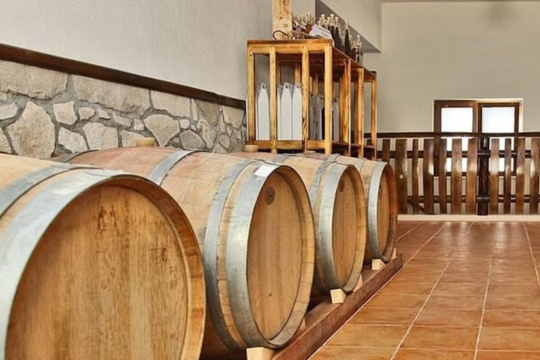 Excursión Privada de Día Completo: Cata de vinos en Peljesac