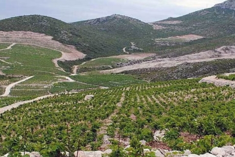 Excursión Privada de Día Completo: Cata de vinos en Peljesac