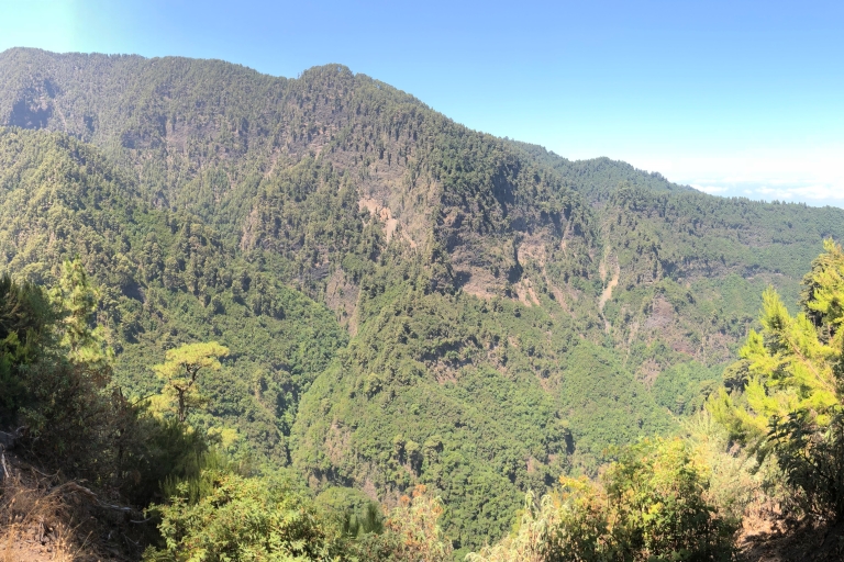 La Palma: Trekking z przewodnikiem Springs Marcos y CorderoOdbiór w biurze turystycznym Los Cancajos