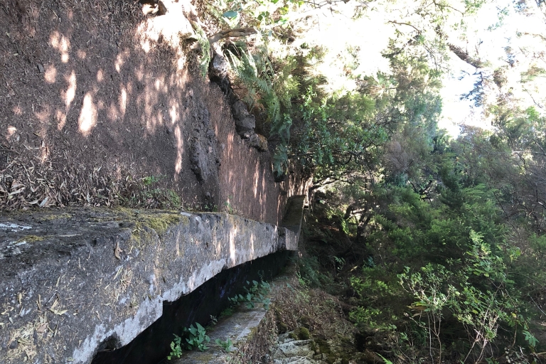 La Palma: Guided trekking tour Springs Marcos y Cordero Pickup in Los Llanos de Aridane