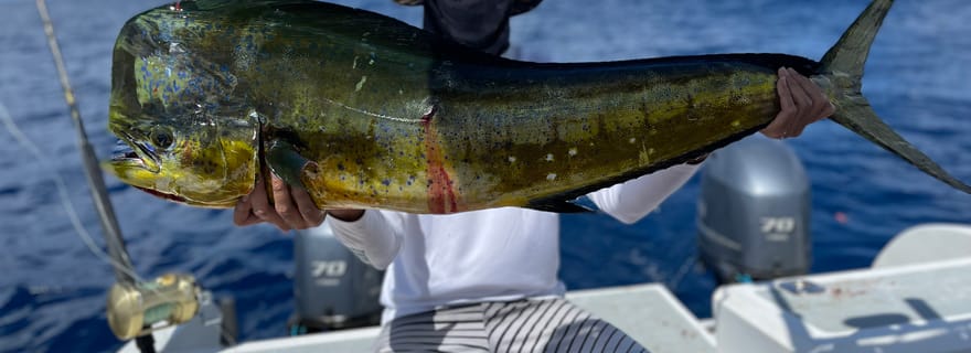Seychelles : Excursion de pêche guidée avec prise en charge et équipement