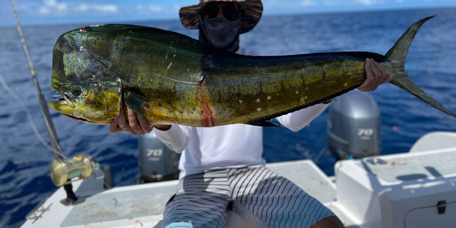 塞舌尔：带接送和设备的导游钓鱼之旅| GetYourGuide