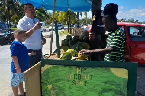Nassau: Sightseeingtour mit dem Bus