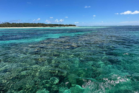 Grand Baie: privécatamarancruise en lunch op de Noordereilanden