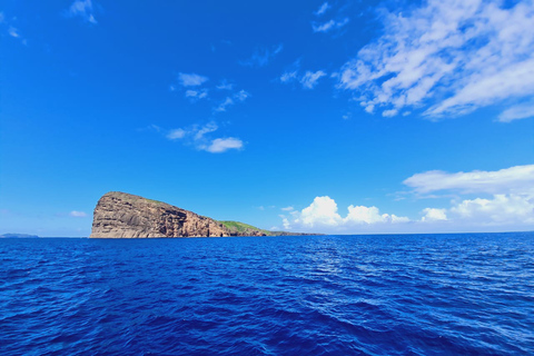 Grand Baie: privécatamarancruise en lunch op de Noordereilanden