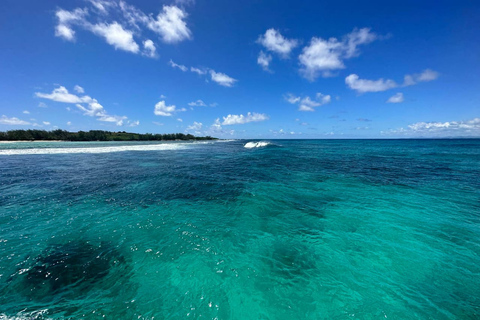 Grand Baie: privécatamarancruise en lunch op de Noordereilanden