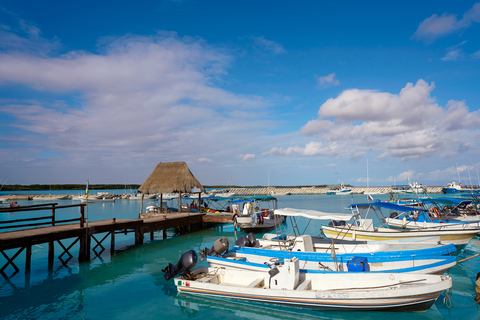 Holbox Plus + Cenote