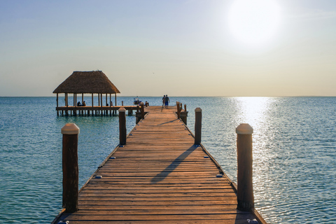 Holbox Plus + Cenote