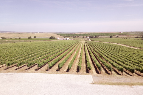 Ville d&#039;Évora et Triangle de l&#039;huile d&#039;olive, du vin et du liègeLa ville d&#039;Évora et le triangle de l&#039;huile d&#039;olive, du vin et du liège